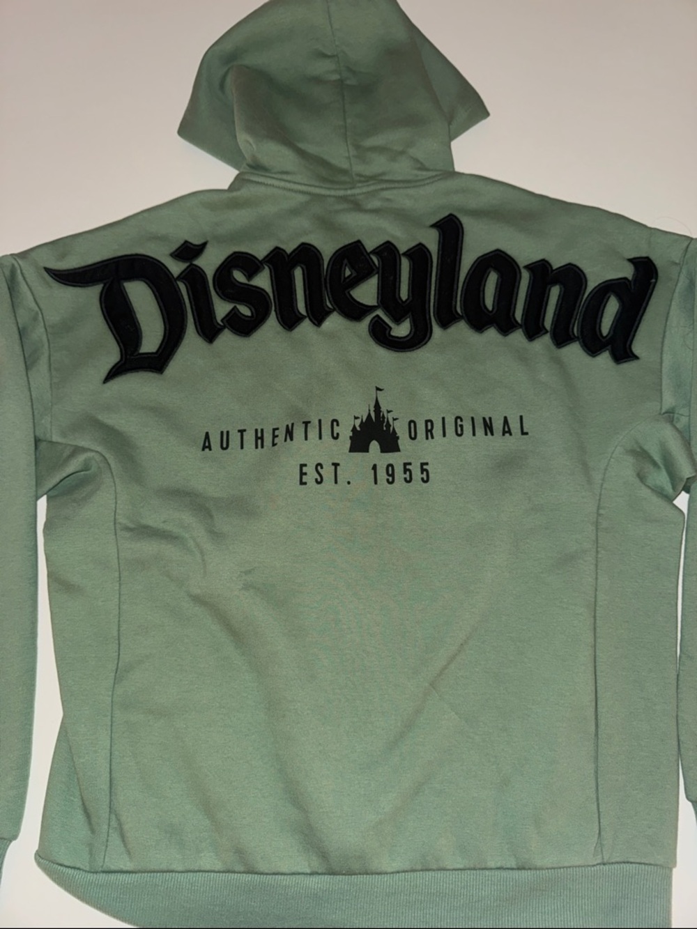 Disneyland Green Logo Hoodie